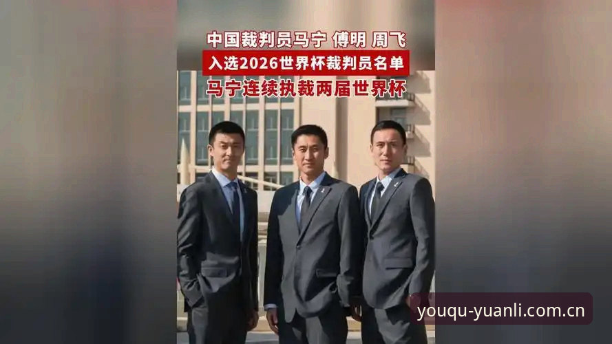 马宁世界杯执裁指南：数据控视角下的裁判生存法则