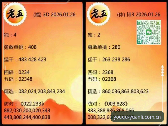 中国直达官网26XD详解：从注册到联机回放，一步到位的实用指南